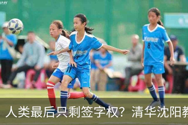 人类最后只剩签字权？清华沈阳教授谈AI终局
