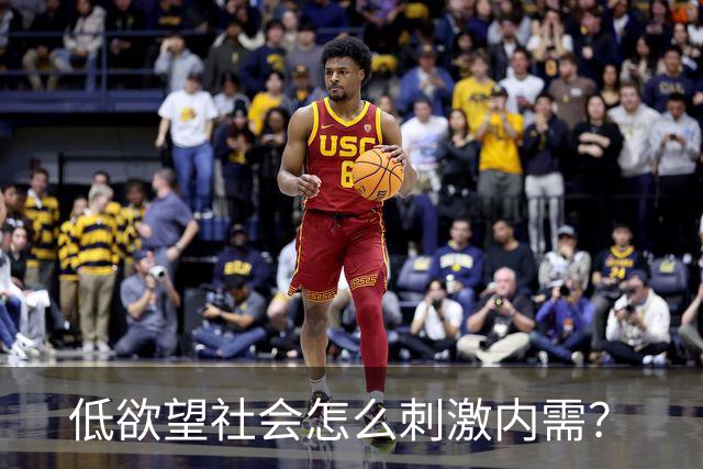 低欲望社会怎么刺激内需？