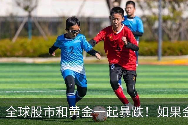 全球股市和黄金一起暴跌！如果金融危机来了，哪种资产才最保值？