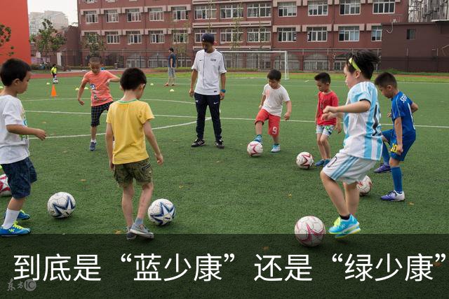 到底是“蓝少康”还是“绿少康”？帮柯志恩站台造势能洗刷争议？