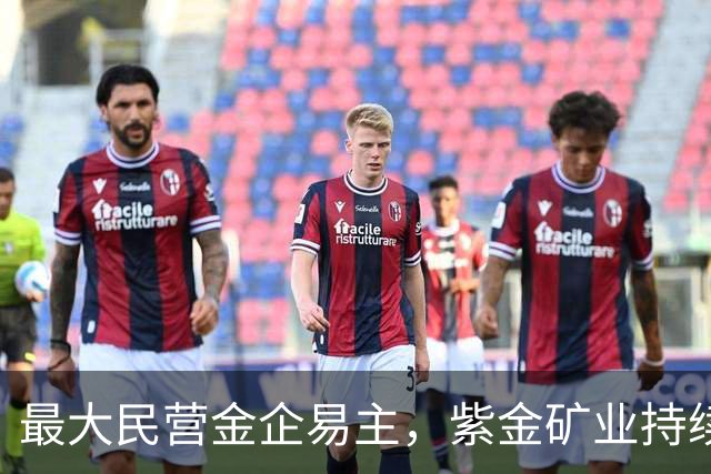 最大民营金企易主，紫金矿业持续“扫货”