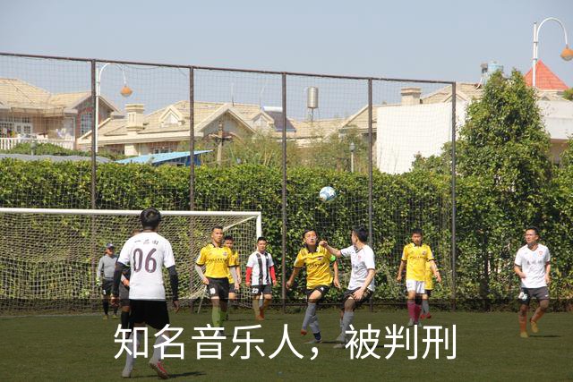 知名音乐人，被判刑