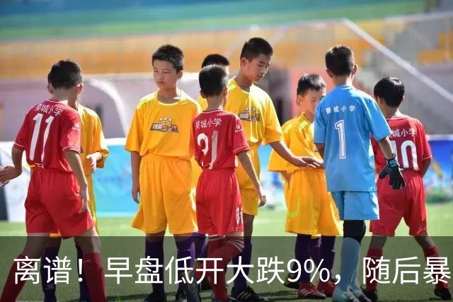 离谱！早盘低开大跌9%，随后暴力拉升大涨5.6%，割肉的已哭晕